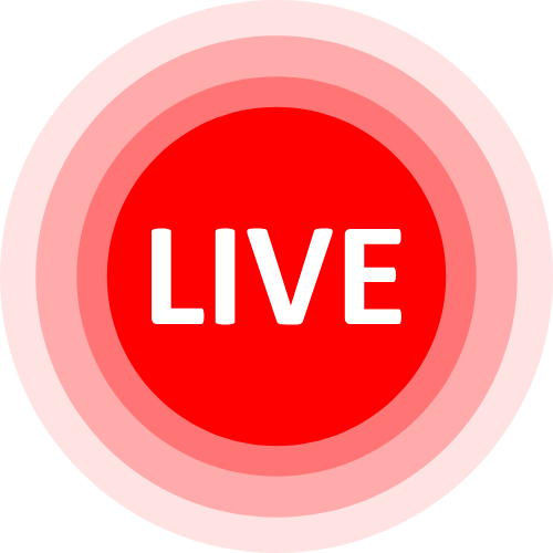 Lovense Media Player